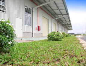 Factory for Lease in Binh Chanh, HCMC, Vietnam